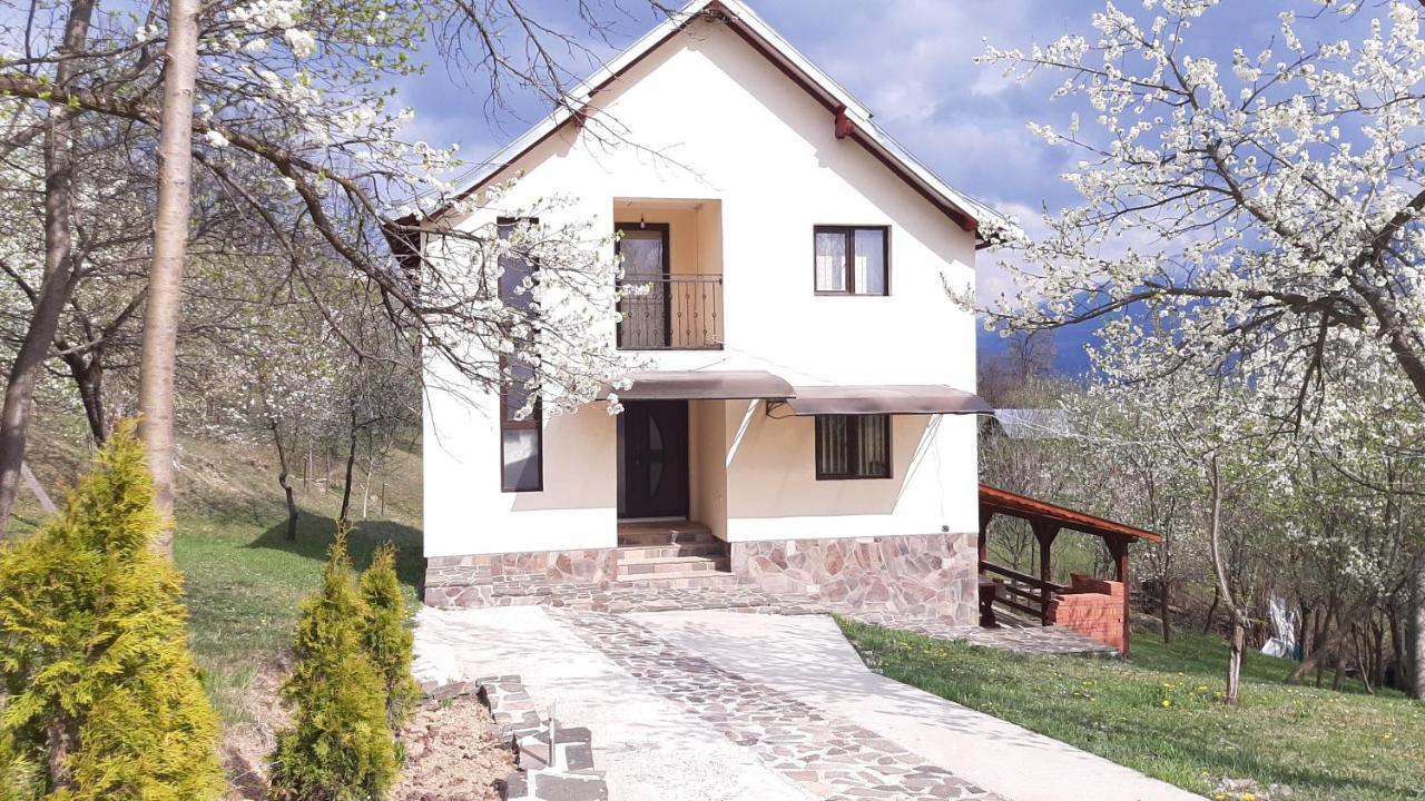 Willa Casa Flutar Moisei Zewnętrze zdjęcie