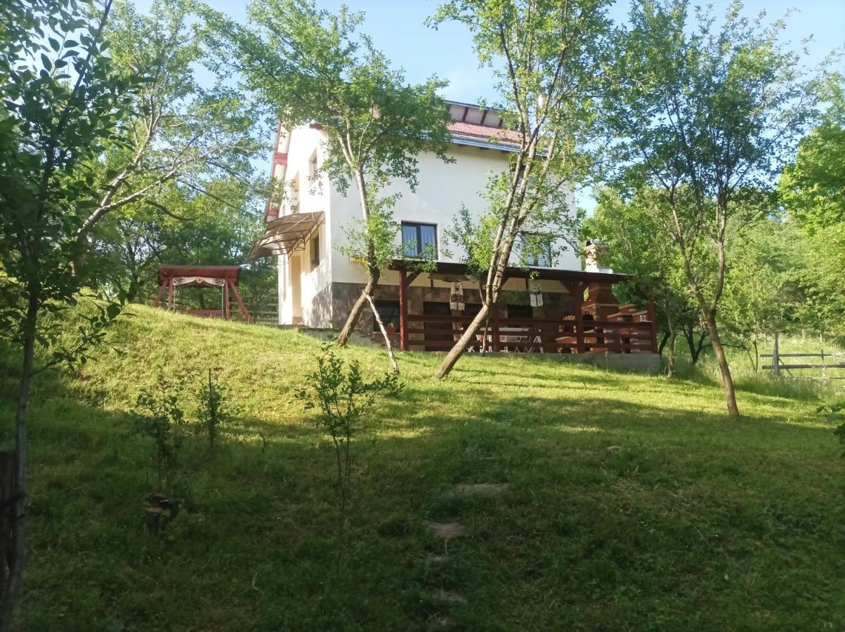 Willa Casa Flutar Moisei Zewnętrze zdjęcie