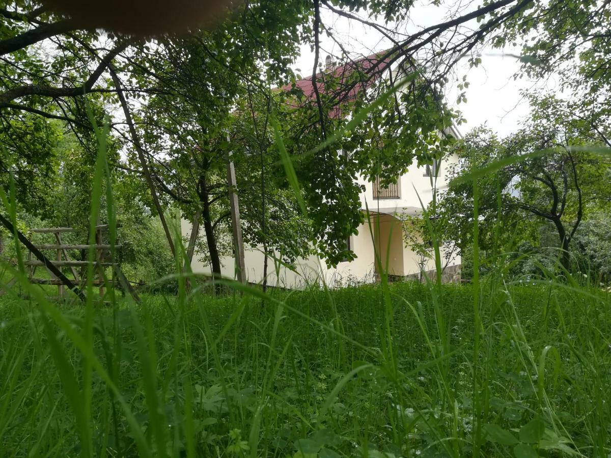 Willa Casa Flutar Moisei Zewnętrze zdjęcie