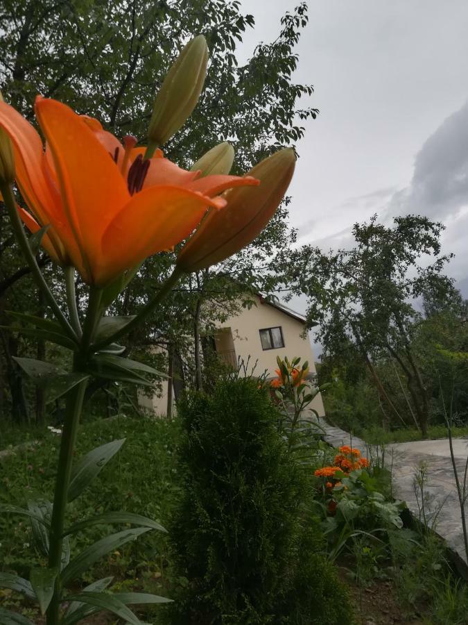 Willa Casa Flutar Moisei Zewnętrze zdjęcie