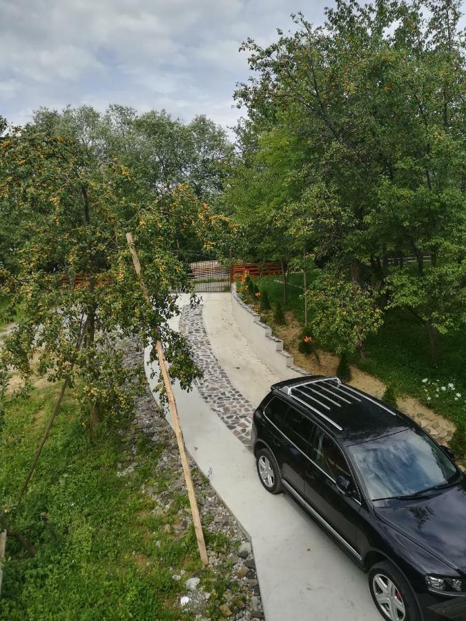 Willa Casa Flutar Moisei Zewnętrze zdjęcie