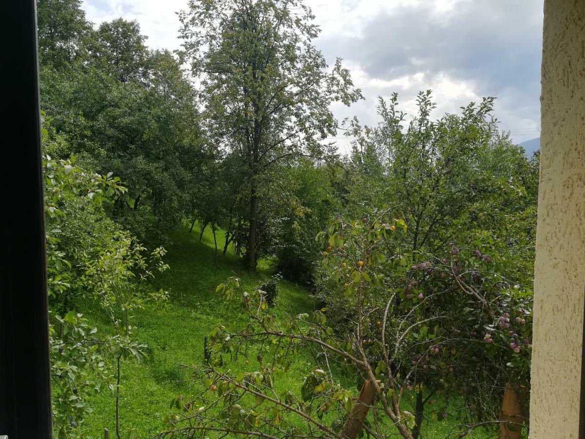 Willa Casa Flutar Moisei Zewnętrze zdjęcie